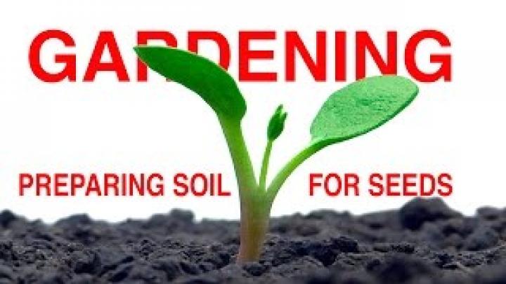 Preparing Soil For Seeds - FOOD GARDENING Part 1