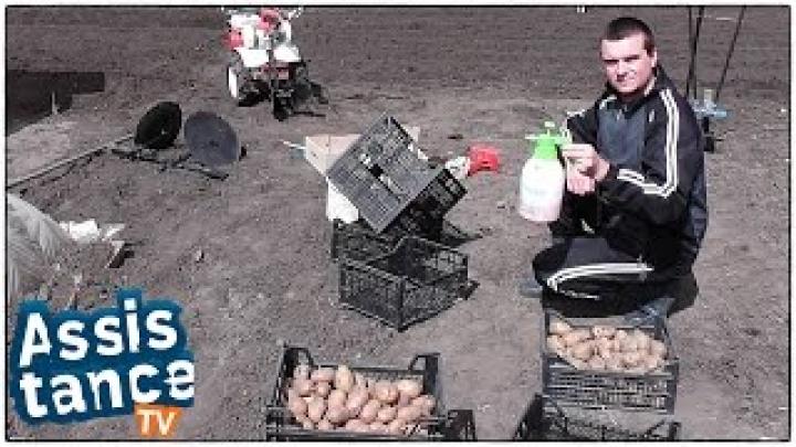 Сад и Огород / Обработка Картофеля и посадка под Мотоблок