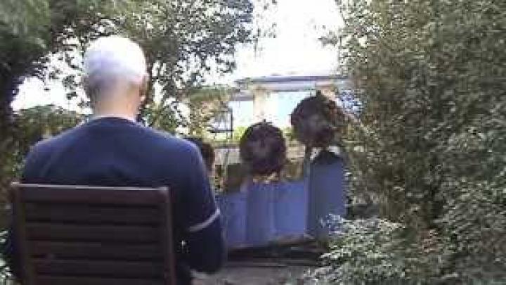 Метание ножей сидя в кресле #2 Knife throwing sitting in a chair