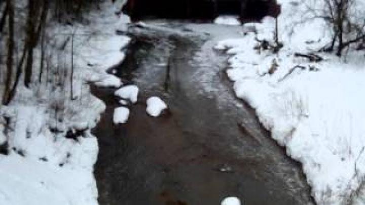 Экология Подмосковья. Репортаж с реки Кунья г. Пересвет от 31.01.16г