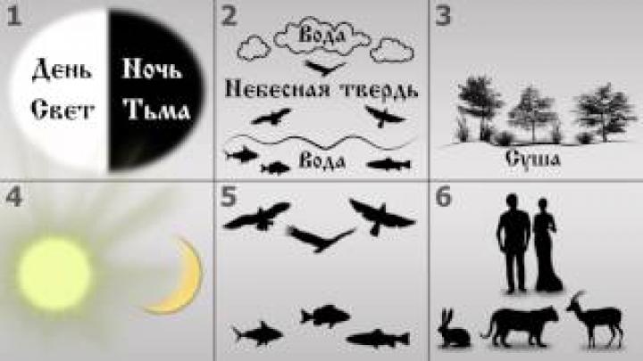 Дни творения: логика процесса