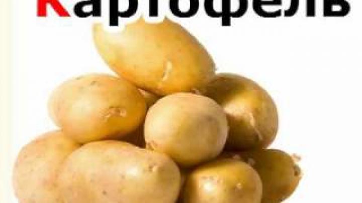 Алфавит для самых маленьких. &amp;quot;Фрукты и овощи&amp;quot;